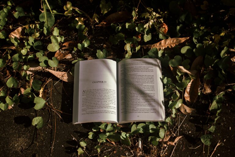 Open book surrounded by lush green leaves and sunlight creating a serene reading ambiance.